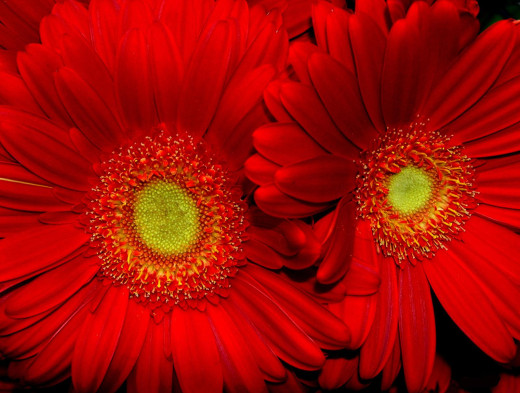 584205 (a): :1600x1208
